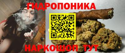 трава Будённовск